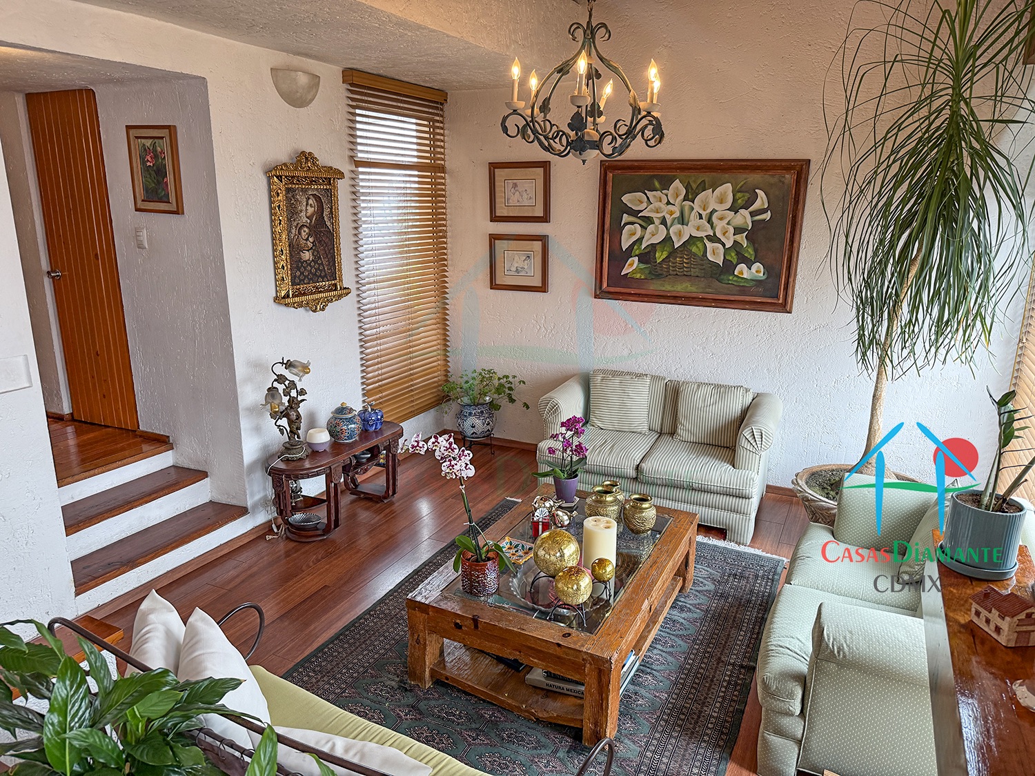 Desierto de los Leones Casa Claudia EHIB - Sala 7 Desierto de los Leones Casa Claudia EHIB - Sala 7